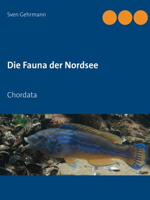 cover image of Chordata